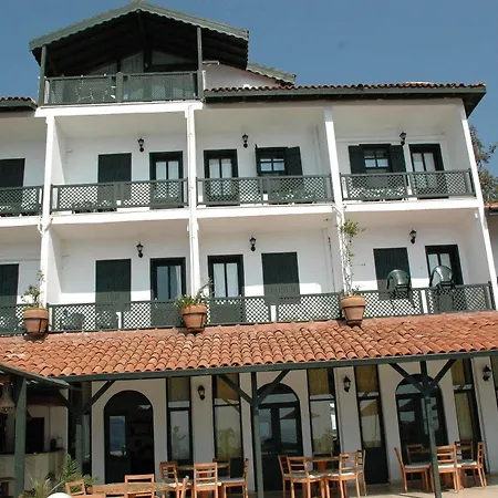 Arpia
