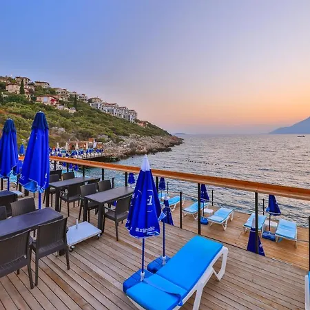 Arpia Kaş
