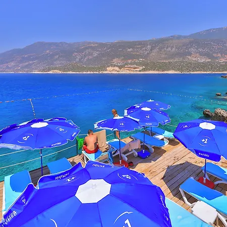 Arpia Kaş