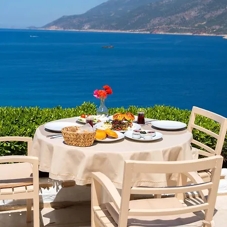 Arpia Kaş