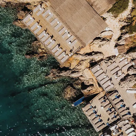Arpia Kaş