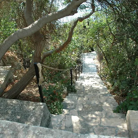 Arpia 2* Kaş