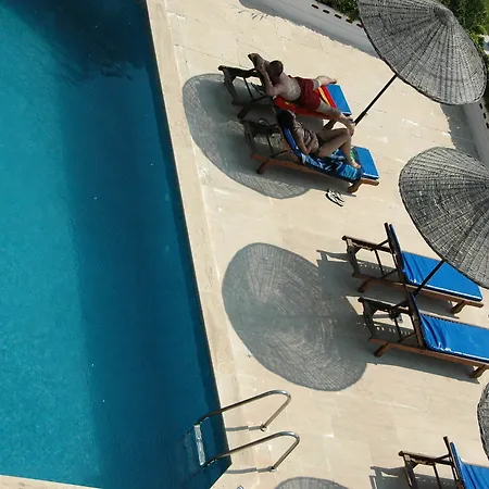 Otel Arpia